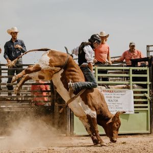 Meet your Posher, Cobie